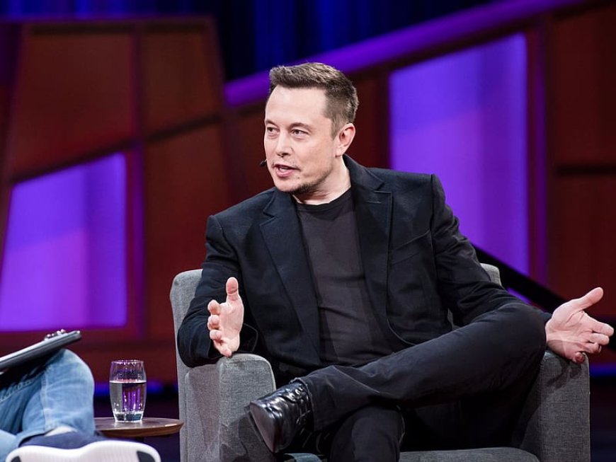 Elon Musk Sounds Alarm on Birth Rate Decline